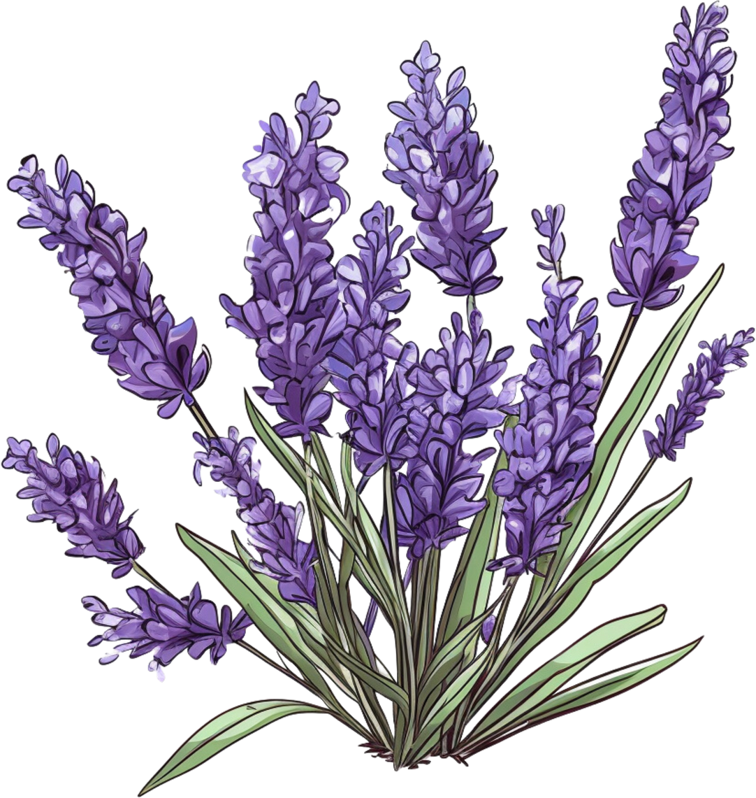 Lavender Flower Purple